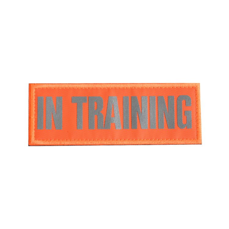 Reflective High Visibility IN TRAINING Patch