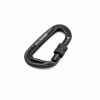 C1 Kiloniner Carabiner