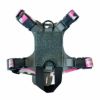 2023モデル M1 Light Speed Harness