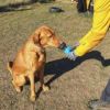 Pet Squeeze Water Bottle